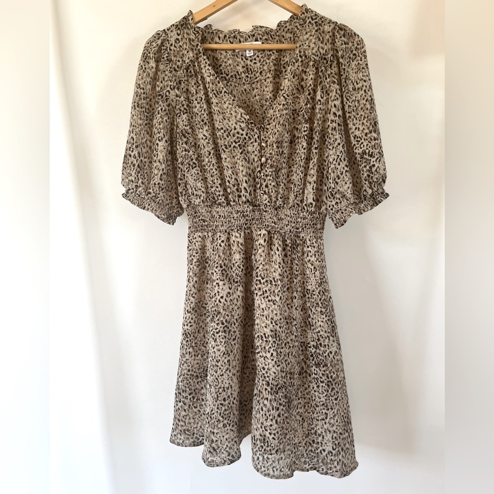 Button front leopard print mini dress